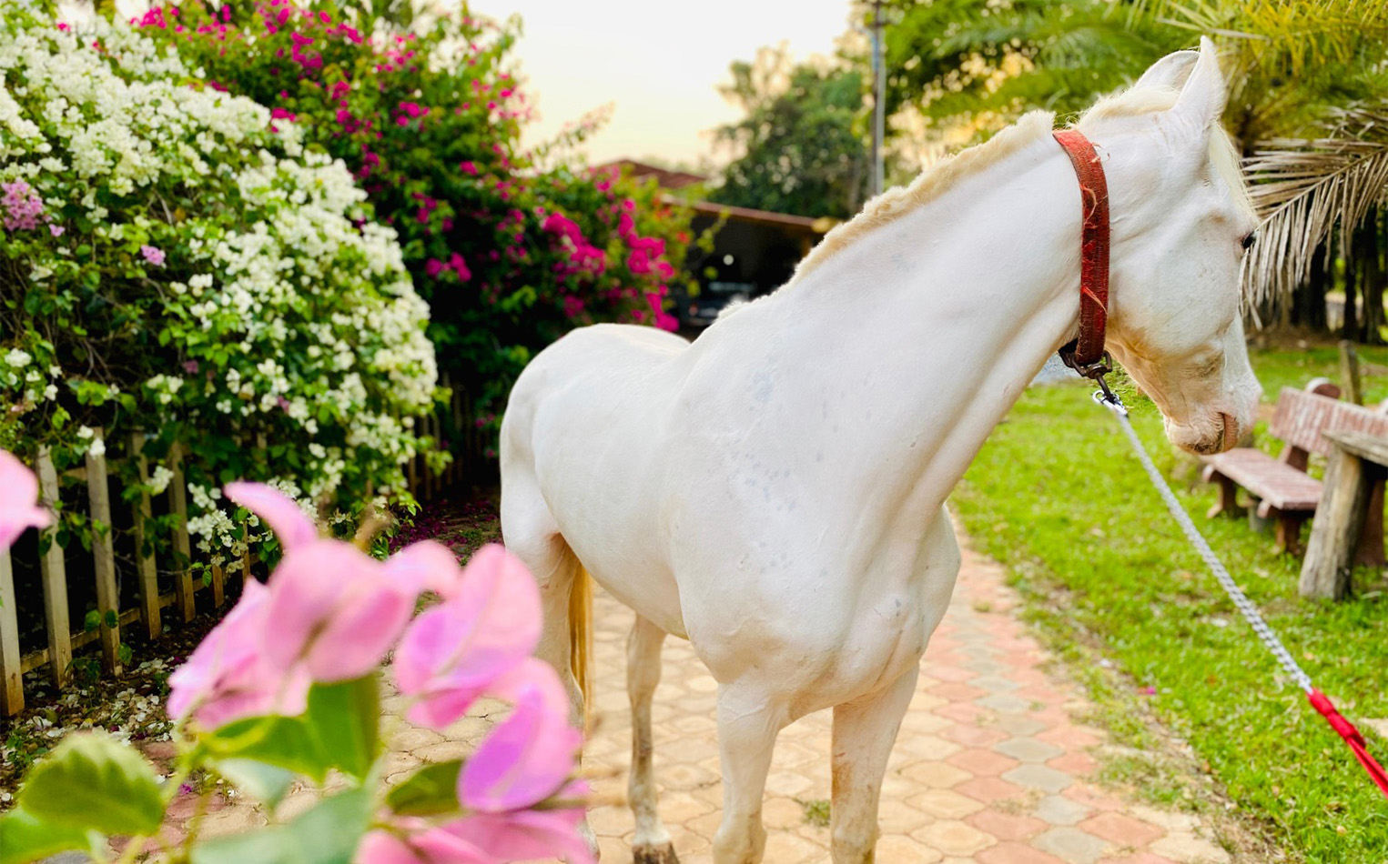 accommodations-at-gpv-village-resort