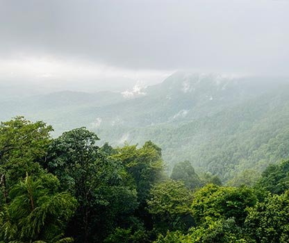 GPV Village Resort Gallery