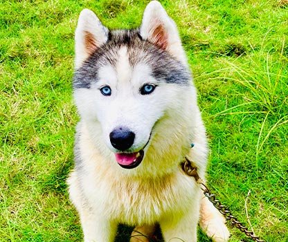 GPV Village Resort Gallery