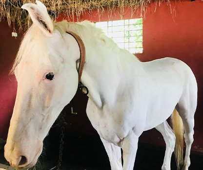 GPV Village Resort Gallery