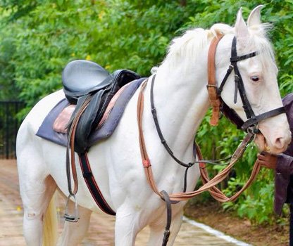 GPV Village Resort Gallery