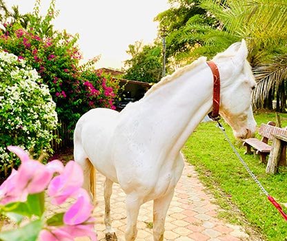 GPV Village Resort Gallery